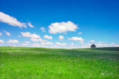 A Missouri native prairie A Missouri native prairie in its summer glory