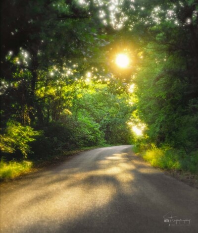 Evening sun shines on a country road Evening sun shines through a country road in rural Missouri