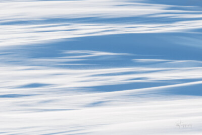 Snow in motion Snow in motion. Created by camera motion while taking the picture.