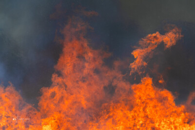 Controlled burn for an Illinois Prairie Controlled burn for an Illinois Prairie