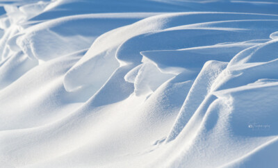 Snow drifts across windswept Illinois Snow drifts across windswept Illinois