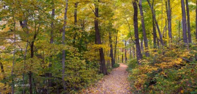 Autumn trail in Matthiesen State Park in Illinois Autumn trail in Matthiesen State Park in Illinois